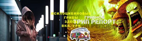 хмурый Балабаново