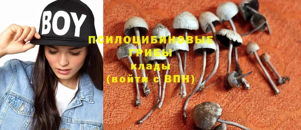 а пвп мука Аркадак