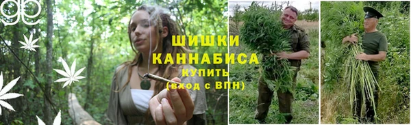 а пвп мука Аркадак