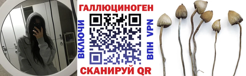 Галлюциногенные грибы Magic Shrooms  Купить  Серов 